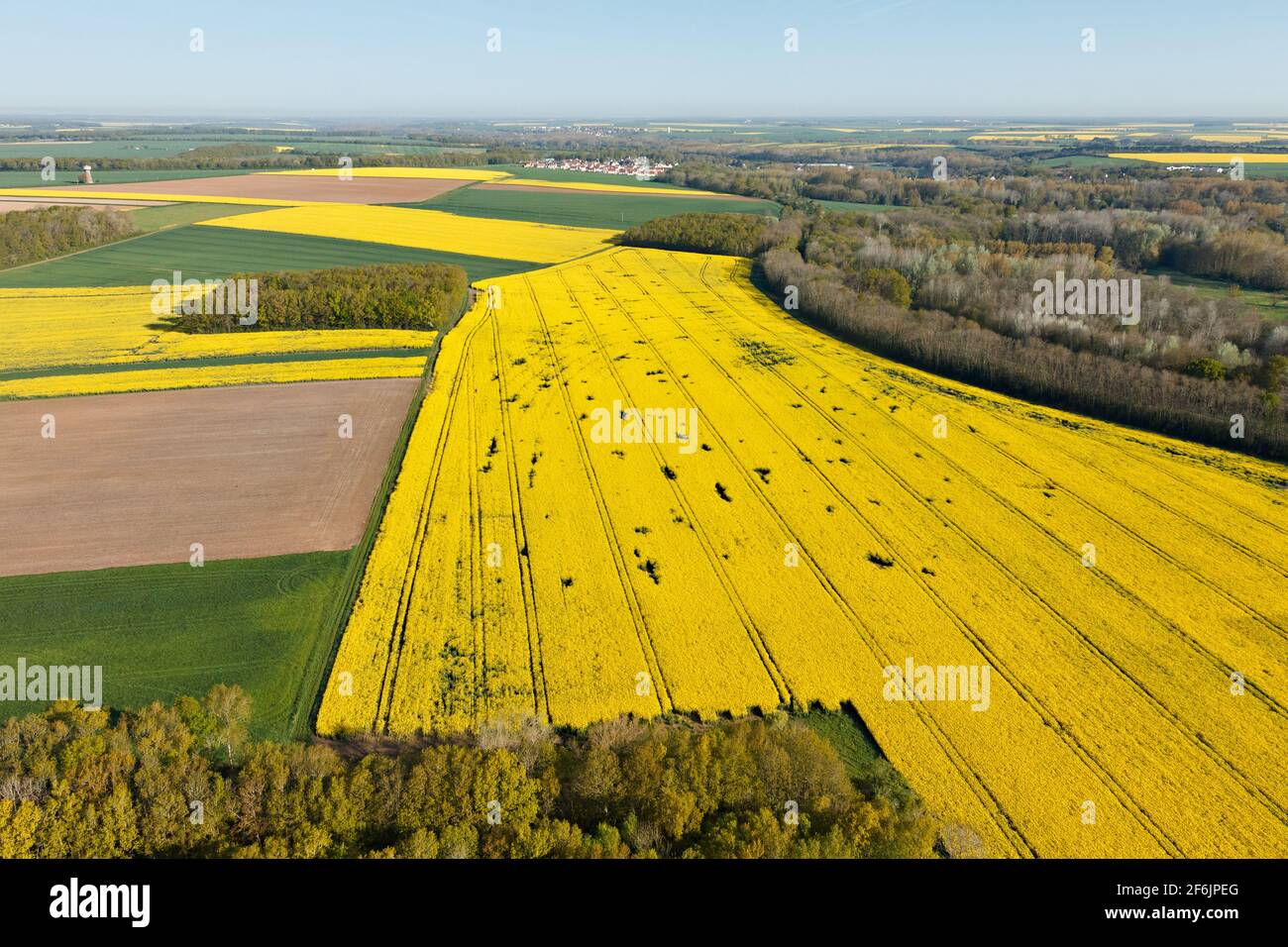 Luftaufnahme der gelben Rapsfelder im Departement Eure-et-Loir in der Region Centre-Val de Loire, Frankreich. Stockfoto