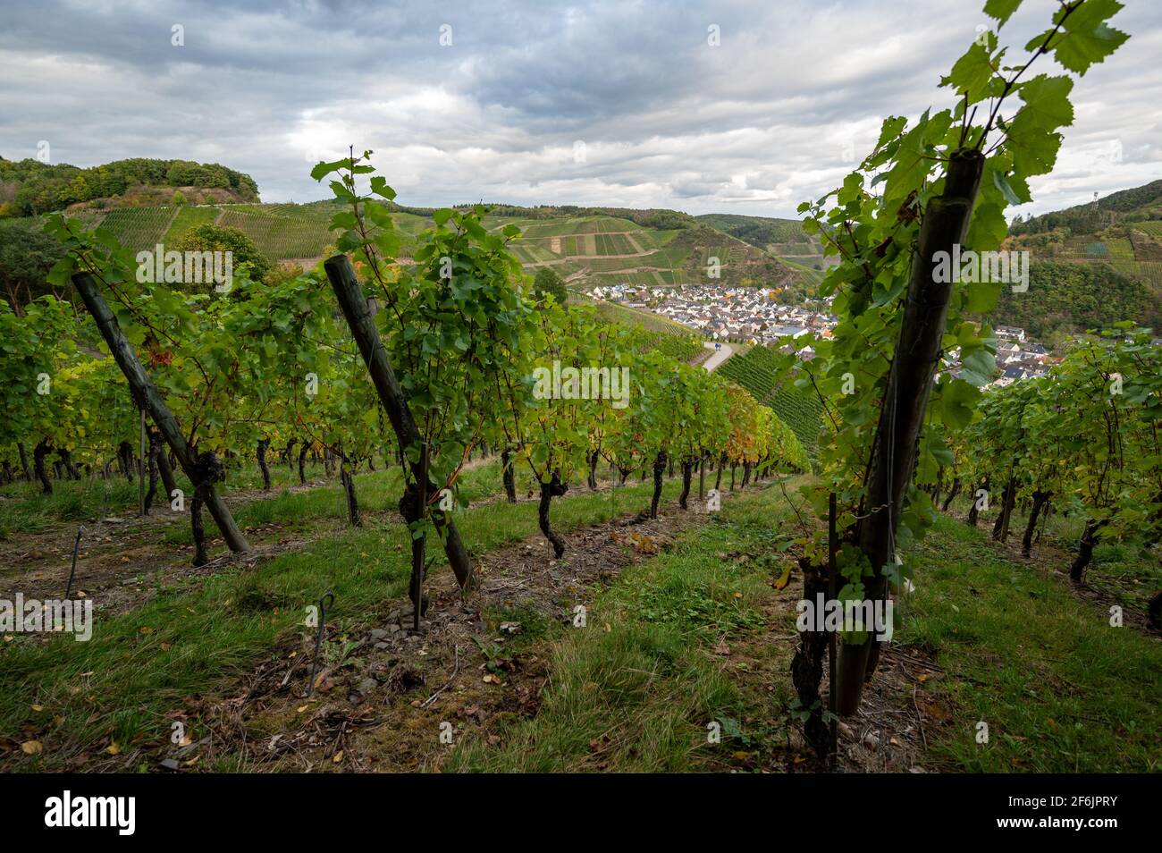 Dorf Dernau durch den Weinberg vom Rotweinwanderweg aus gesehen, dem Rotweinwanderweg im Ahrtal Stockfoto