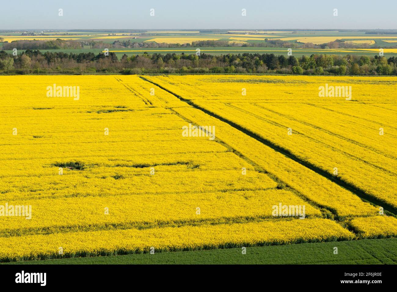 Luftaufnahme der gelben Colza-Felder im Departement Eure-et-Loir in der Region Centre-Val de Loire, Frankreich. Stockfoto