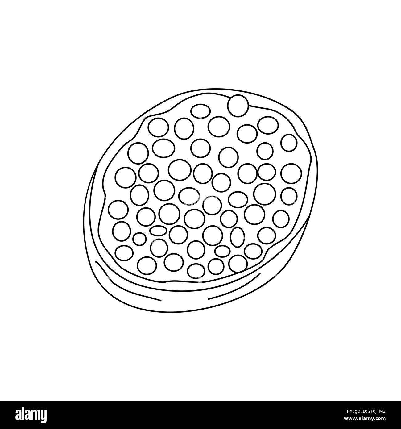 Sandwich mit Quark und rotem Kaviar, Frühstück oder Snack. Schwarz-Weiß-Doodle Illustration Vektor Stock Vektor