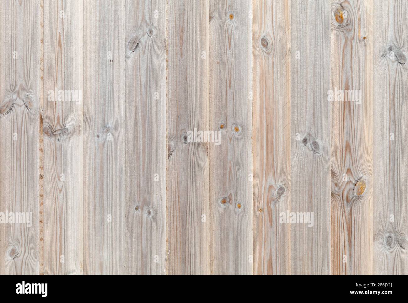 Neue Holzwand aus vertikalen Kiefernholzplanken, Hintergrund Foto Textur Stockfoto