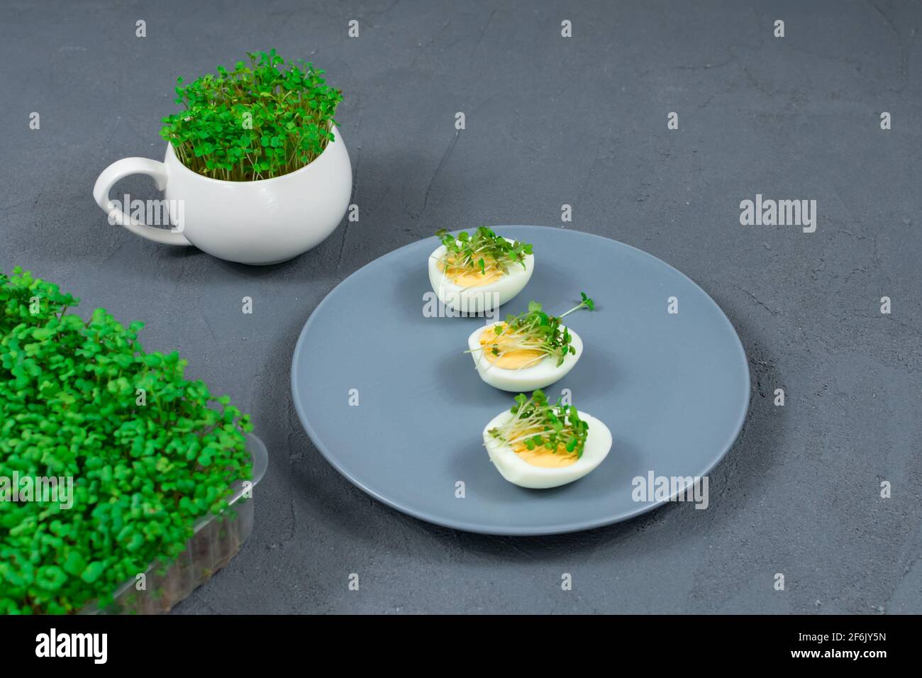 Microgreens auf Eiern. Den Salat mit mikrogrünen Blättern dekorieren. Diät-Essen. Gekochte und frische Eier auf einem Hintergrund von frischen knusprigen Microgreens. Stockfoto