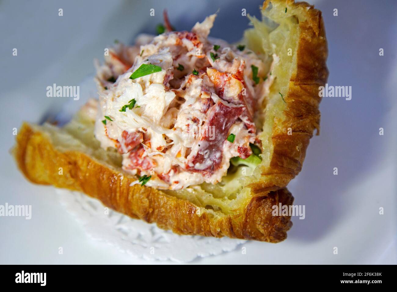 Hummercroissant in Nova Scotia, Kanada. Das gekleidete Hummer-Fleisch ist ein ganztägiger Snack. Stockfoto