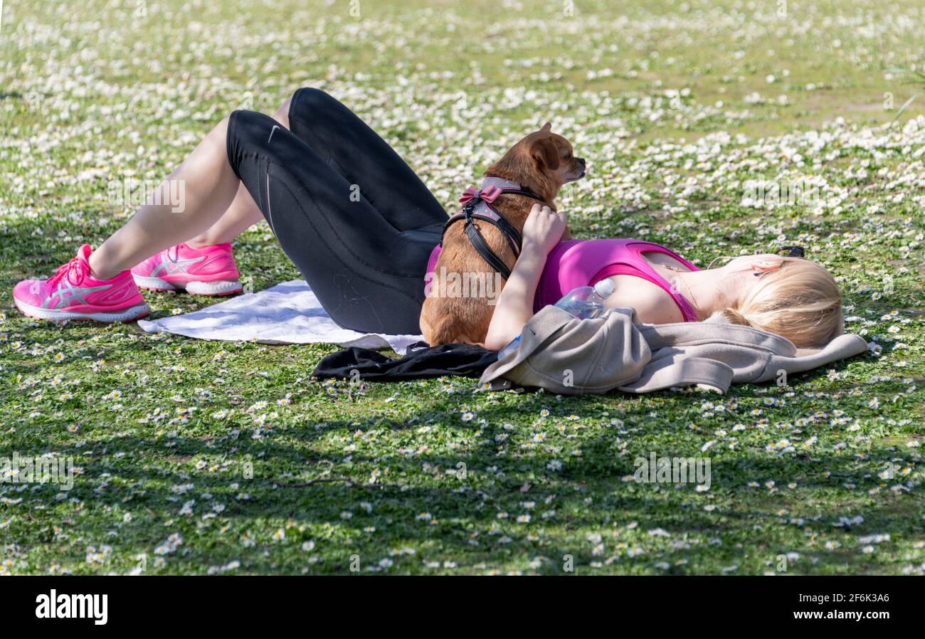 Regent's Park London, britische Frau, die mit ihr zwischen Gänseblümchen sonnenbaden kann Kleiner Hund am wärmsten Märztag 2021 nach Lockerung Der Sperrbeschränkungen Stockfoto