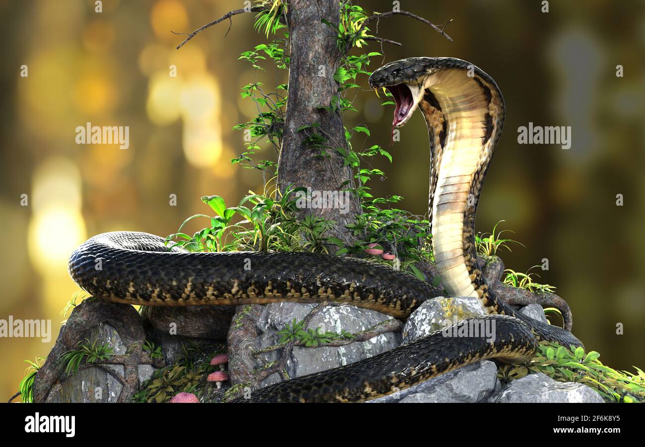 3d-Illustration von Königskobra oder großer schwarzer Schlange, die sich auf unscharfem Dschungelhintergrund um den Baum schlingt. 3d-gerendertes Modell mit Beschneidungspfad. Stockfoto