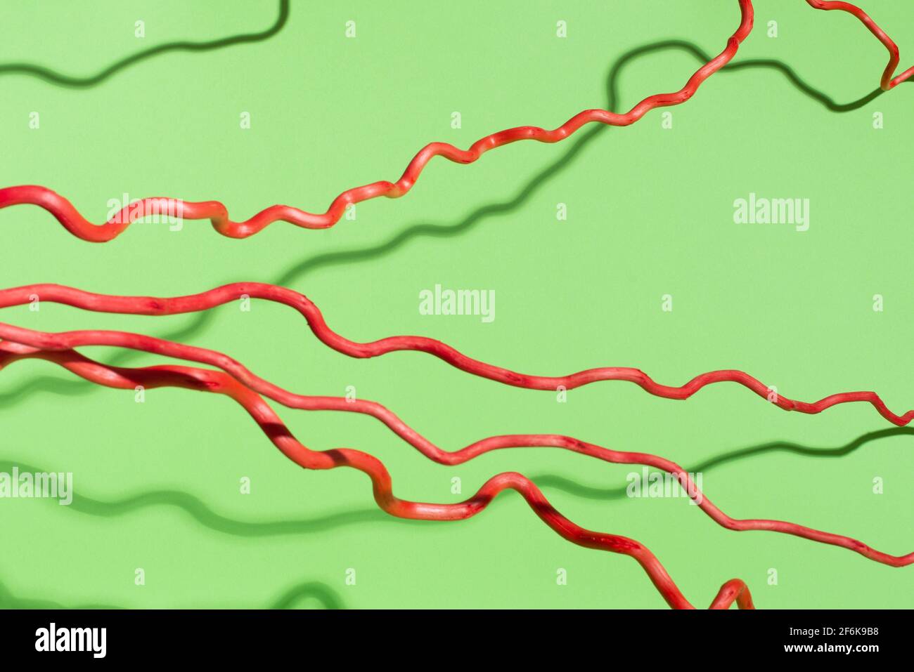 Rote geschwungene Linien auf grünem Hintergrund. Trockene Pflanze mit Schatten. Stockfoto