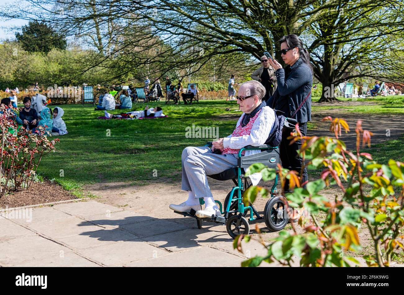 Regent's Park London UK Queen Mary's Gardens - Gentleman in Rollstuhlfahrer genießen den wärmsten Tag im März 2021 nach der Ruhe Der Sperrbeschränkungen Stockfoto
