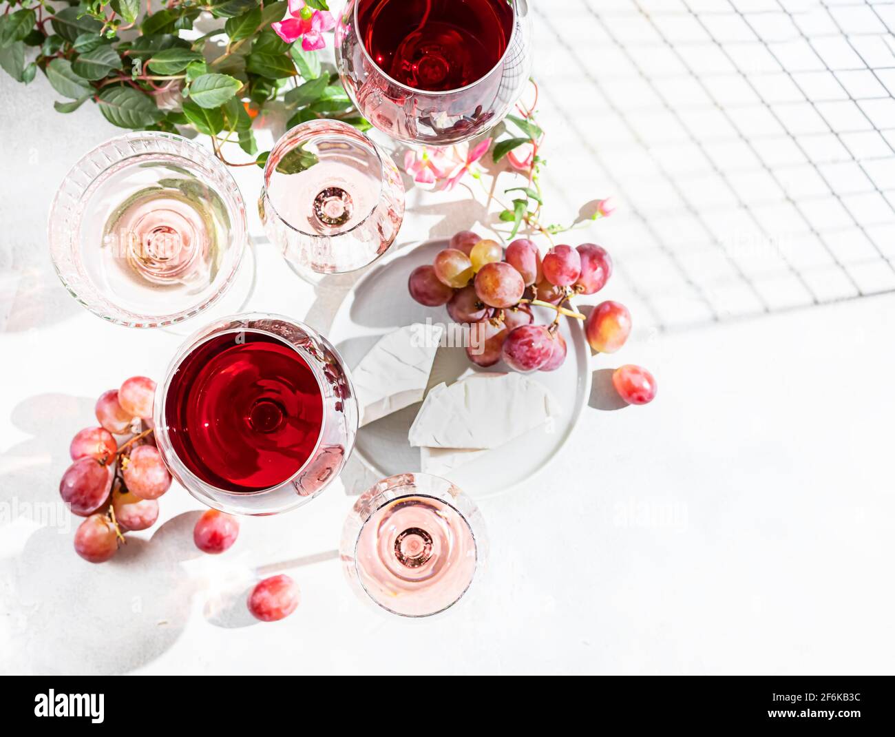 Wein verschiedener Sorten auf hellem Beton-Hintergrund. Viele verschiedene Gläser Wein. Konzept der Weinprobe. Draufsicht, flach liegend Stockfoto
