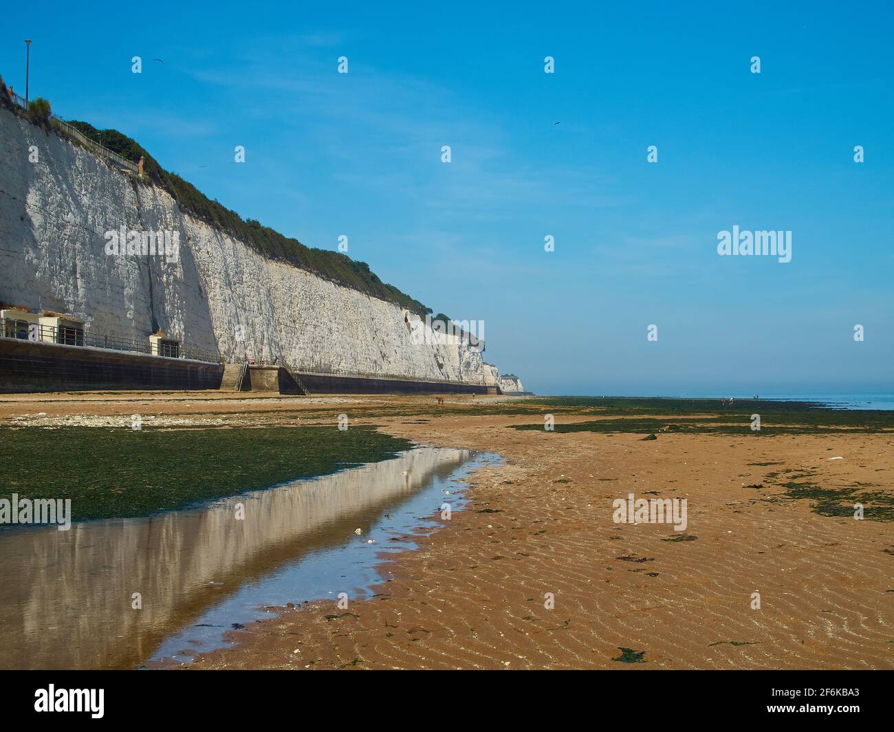 Ein Sandstrand und Kreidefelsen, die bis zum Horizont laufen, unterbrochen von Flecken Seegras. Ein Gezeitentümpel spiegelt die Klippen und den blauen Himmel wider. Stockfoto