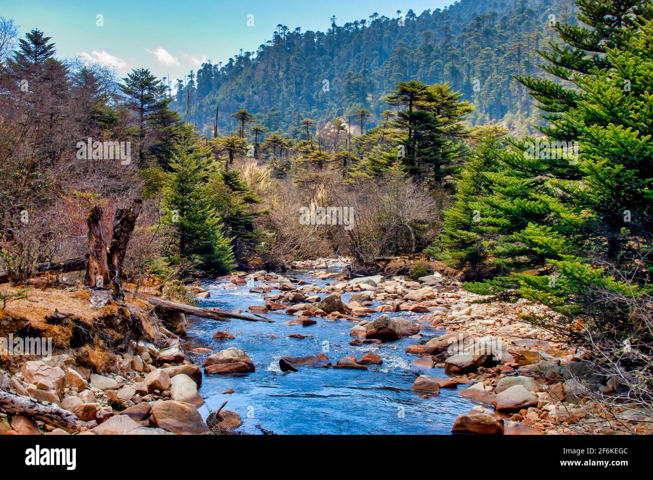 Kleiner Fluss im Jigme Singye Wangchuck National Park, Bhutan Stockfoto