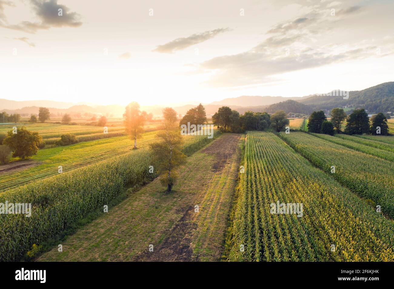 Sonnenuntergang Kornfeld Stockfotos Und Bilder Kaufen Alamy