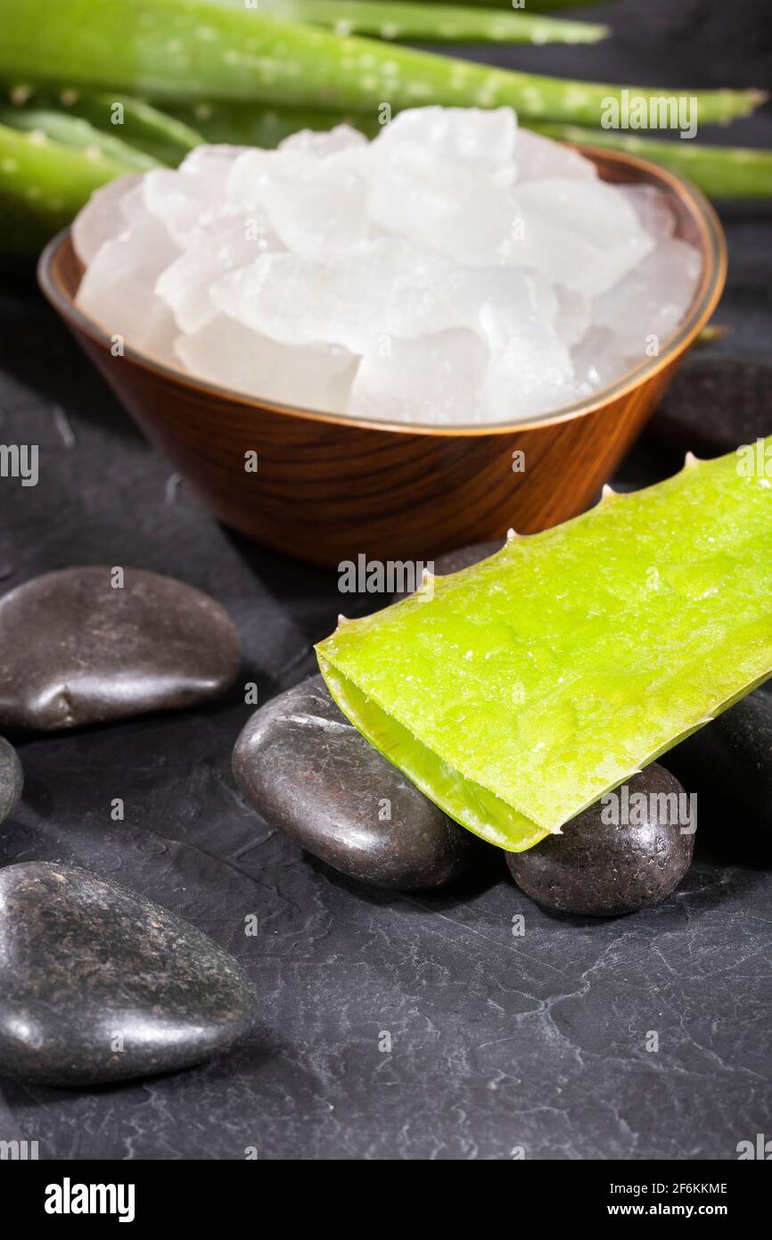 aspidistra elatior standort Aspidistra elatior Morning Frost main image 0