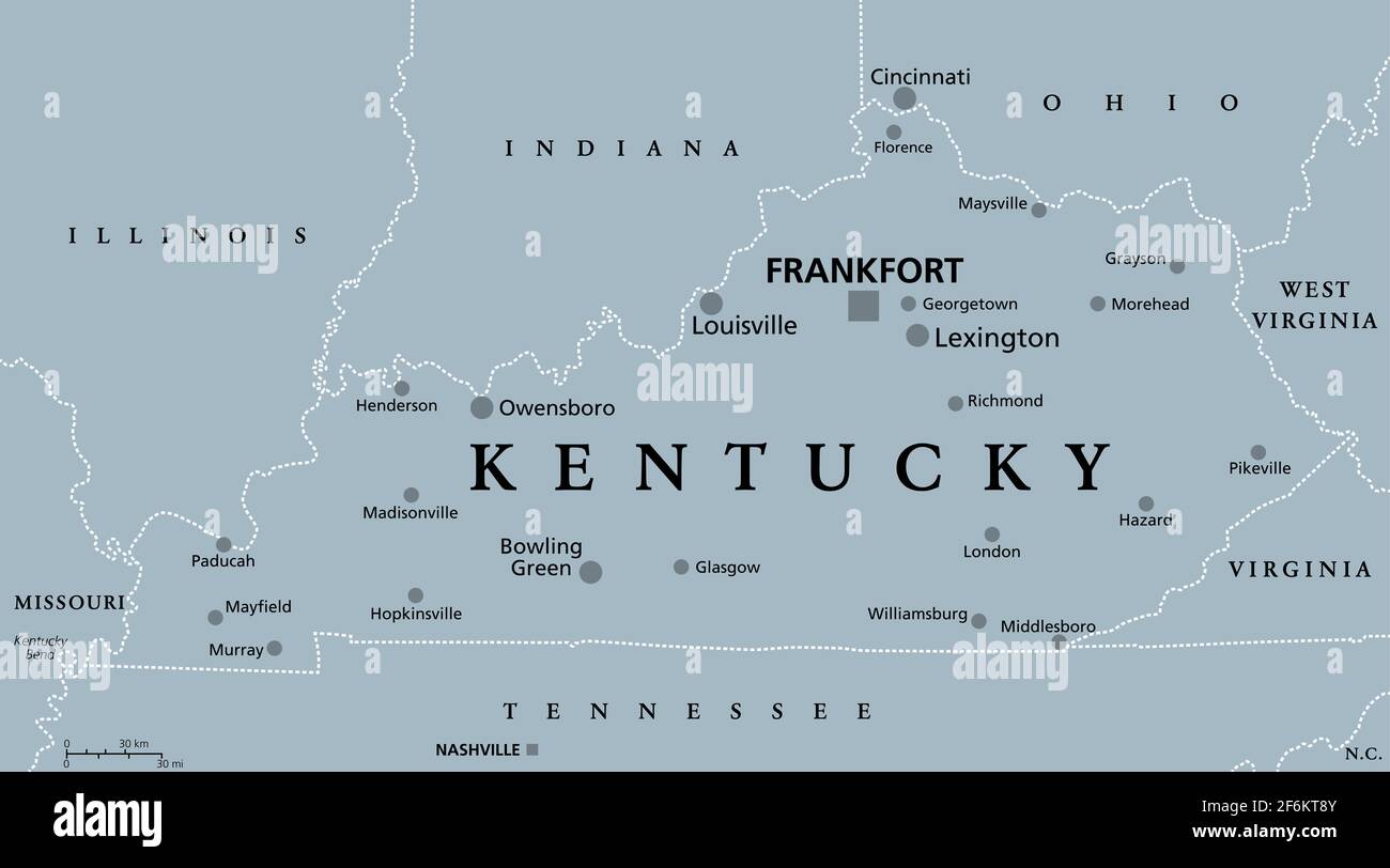 Kentucky, KY, graue politische Karte, mit der Hauptstadt Frankfort und den größten Städten. Commonwealth of Kentucky. Staat im Südosten der Vereinigten Staaten. Stockfoto
