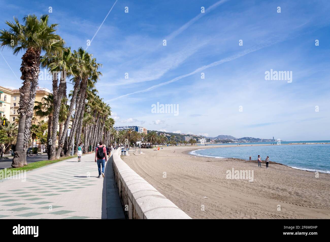 Palmen, blauer Himmel und viel Sonnenschein in Malaga, Spanien Stockfoto