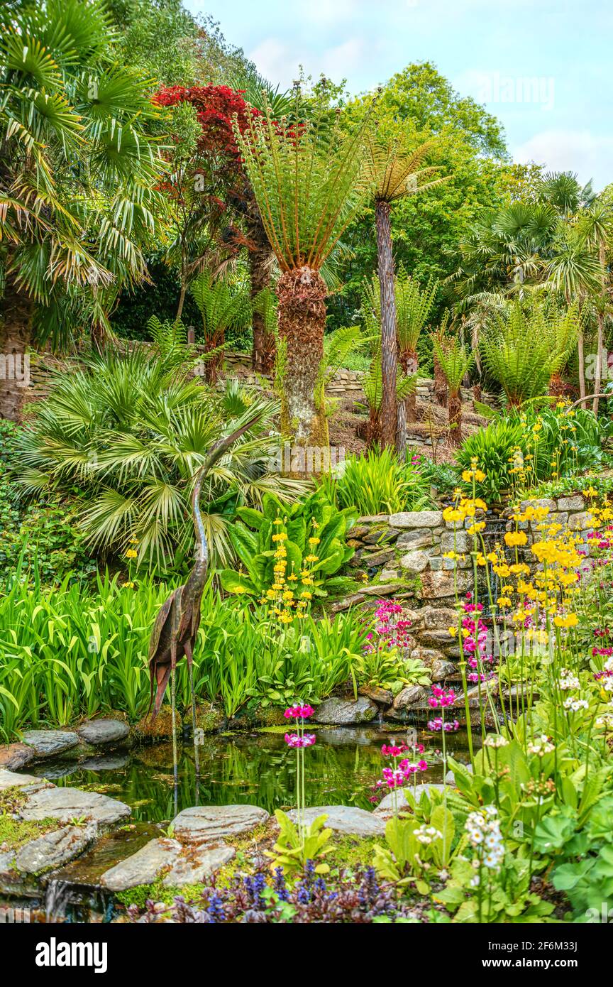 Subtropischer Wassergarten im Zentrum von Trebah Garden, Cornwall, England, Großbritannien Stockfoto