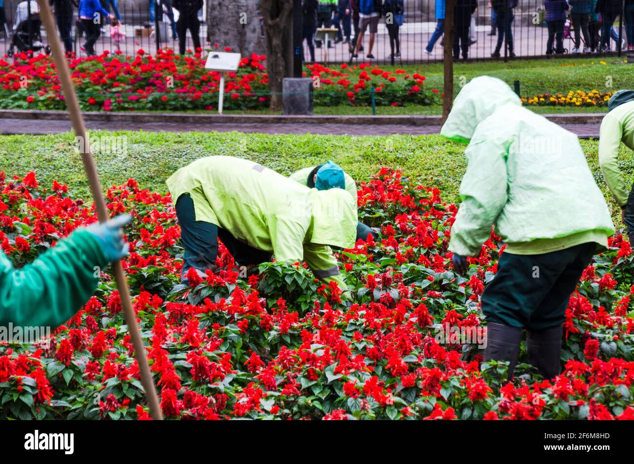 Menschen, Gartenarbeit, Blumenbepflanzung und Berufskonzept Stockfoto