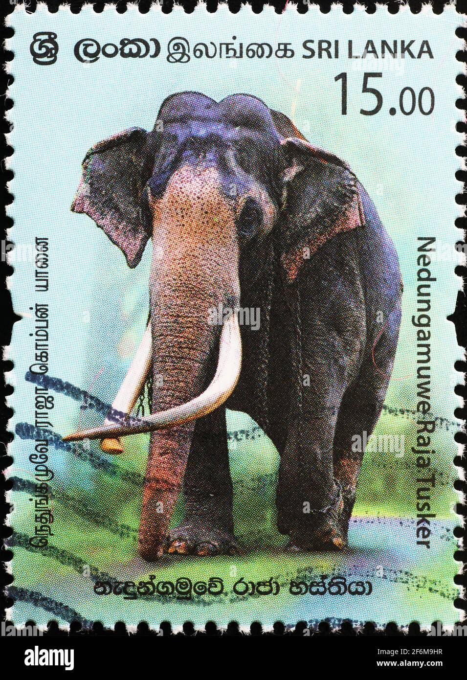 Riesiger asiatischer Elefant auf Briefmarke aus Sri Lanka Stockfoto