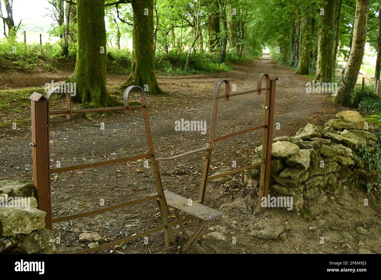 Stahlstile mit einem einzigen Schritt auf einem Fußweg hinein Eine von Bäumen gesäumte Gasse auf den Mendip Hills in Somerset.UK Stockfoto
