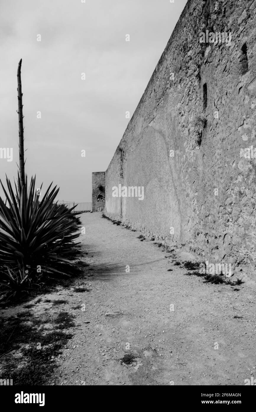 Steinmauer der Burg Santa Barbara neben der Aloe-Pflanze in Alicante, Spanien. Monochromes Bild. Stockfoto