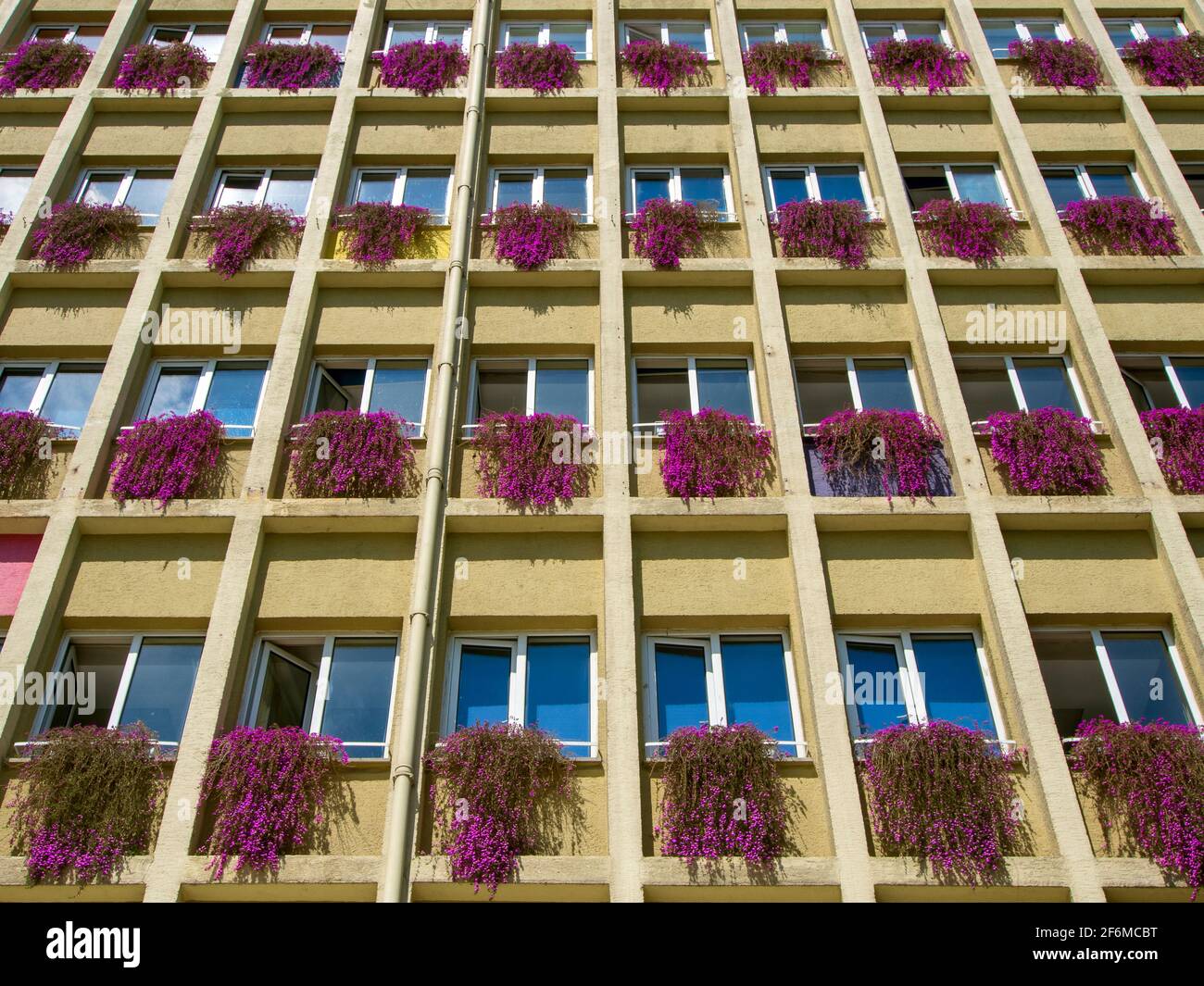 Farbenfrohe schöne Fassade eines modernen Mehrfamilienhauses mit vielen Fenstern, dekorierten Blumen. Istanbul, TÜRKEI Stockfoto