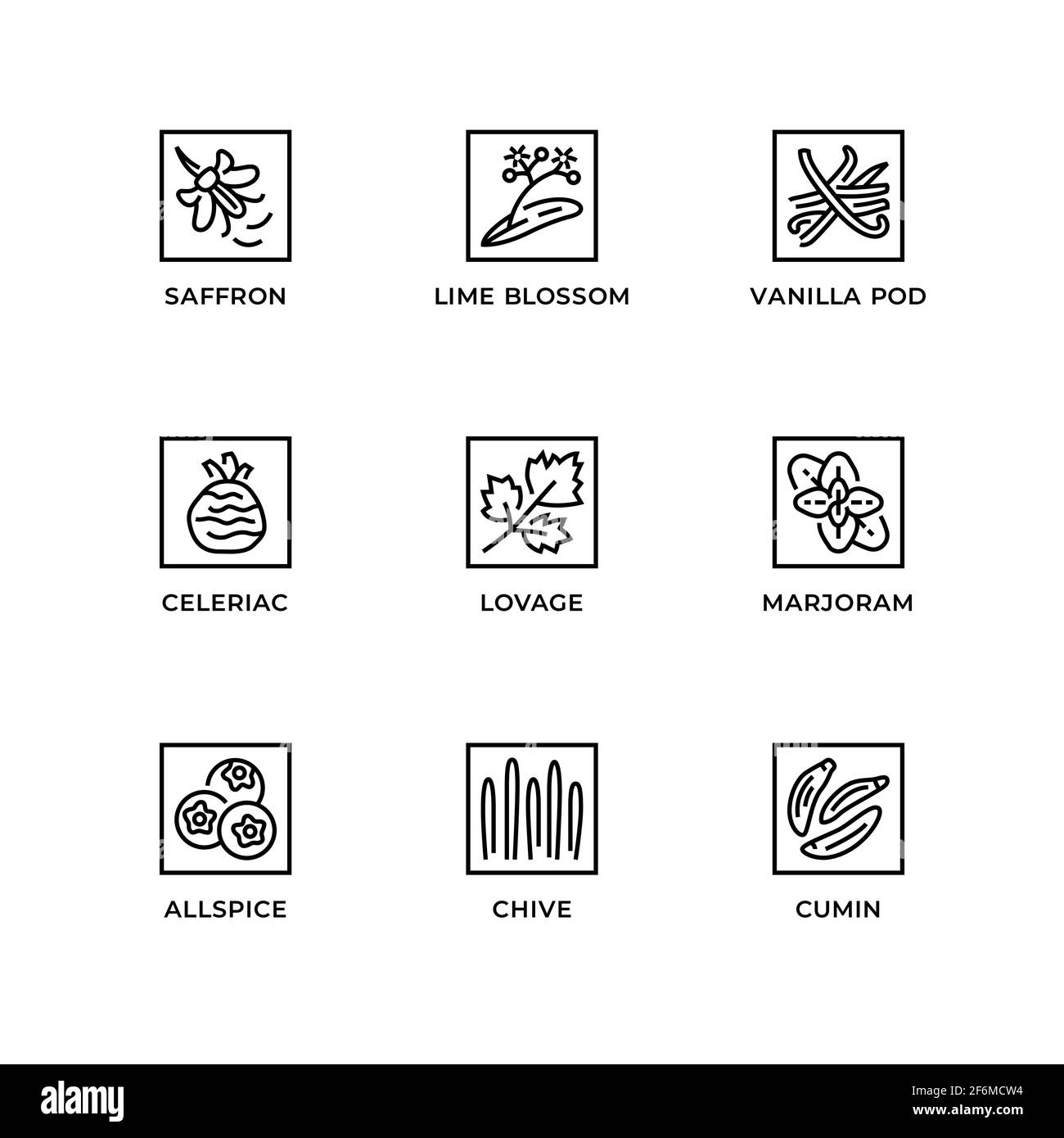 Vektor-Set von Design-Elementen, Logo-Design-Vorlage, Icons und Abzeichen für Kräuter und Pflanzen. Liniensymbole gesetzt, editierbare Kontur. Stock Vektor