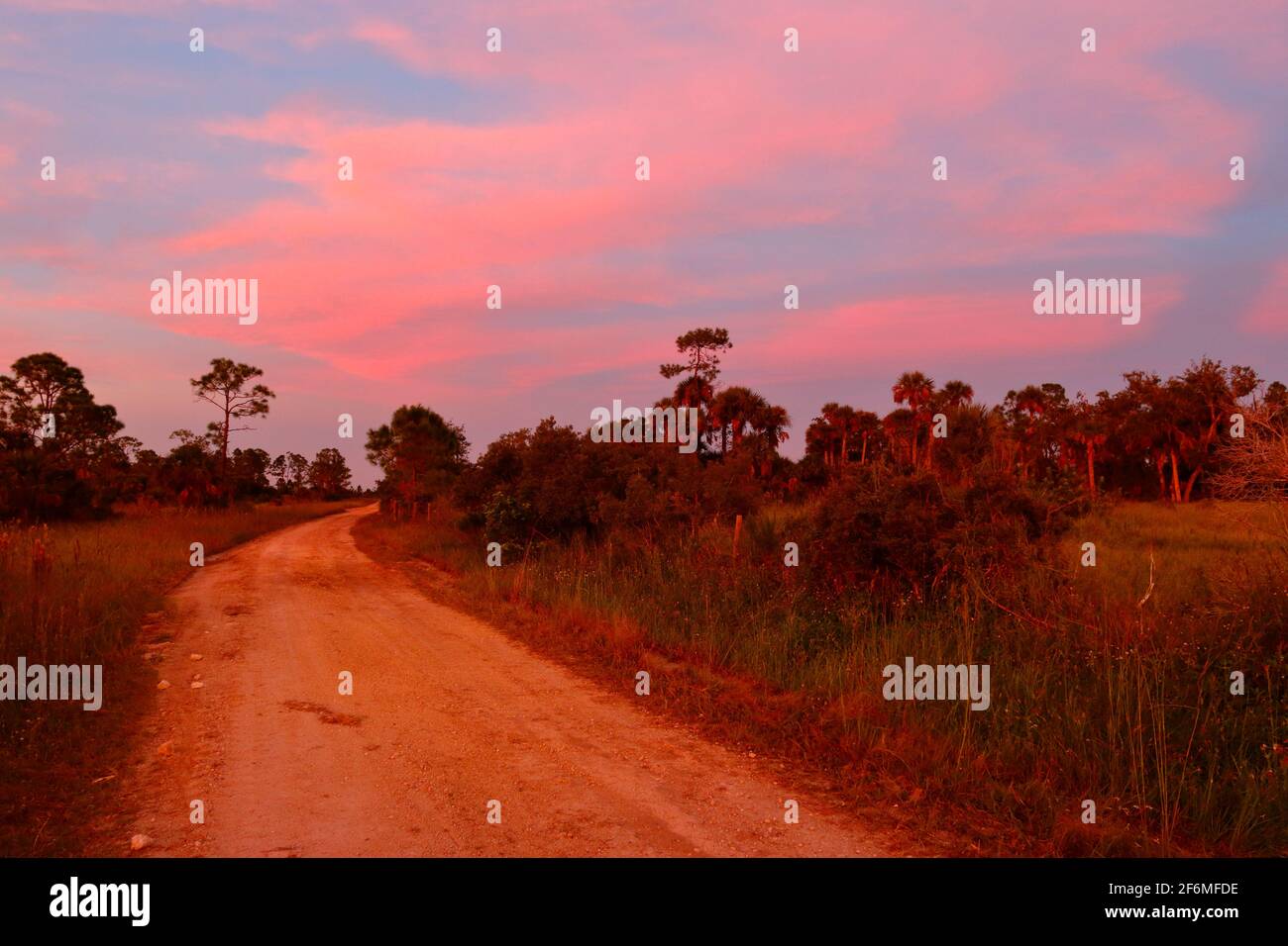 Ein malerischer Sonnenuntergang auf einer everglades Wildlife Drive. Stockfoto