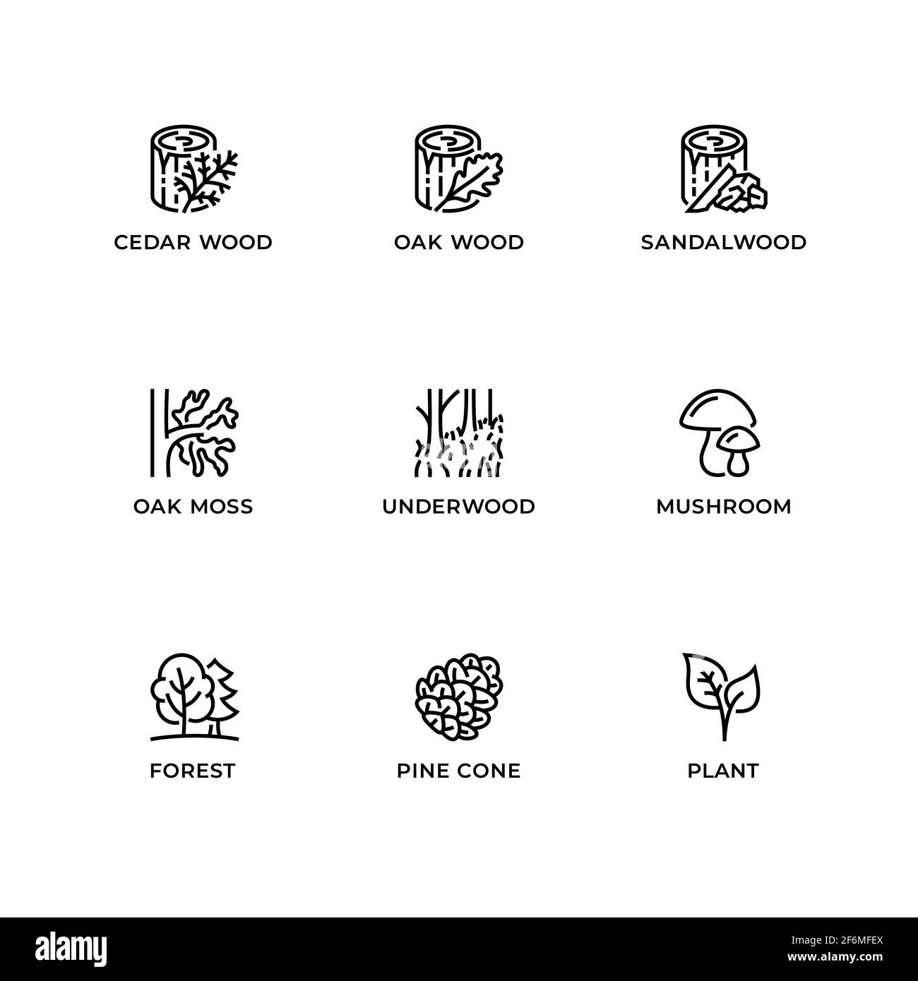Vektor-Set von Design-Elementen, Logo-Design-Vorlage, Symbole und Abzeichen für Wald. Liniensymbole gesetzt, editierbare Kontur. Stock Vektor