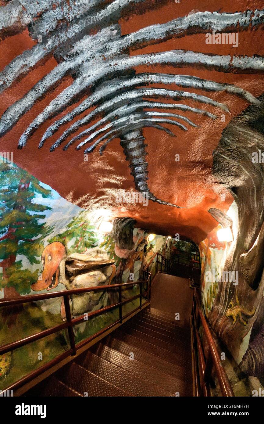 Treppe im T Rex „World's Largest Dinosaur“ Drumheller Alberta Kanada Stockfoto