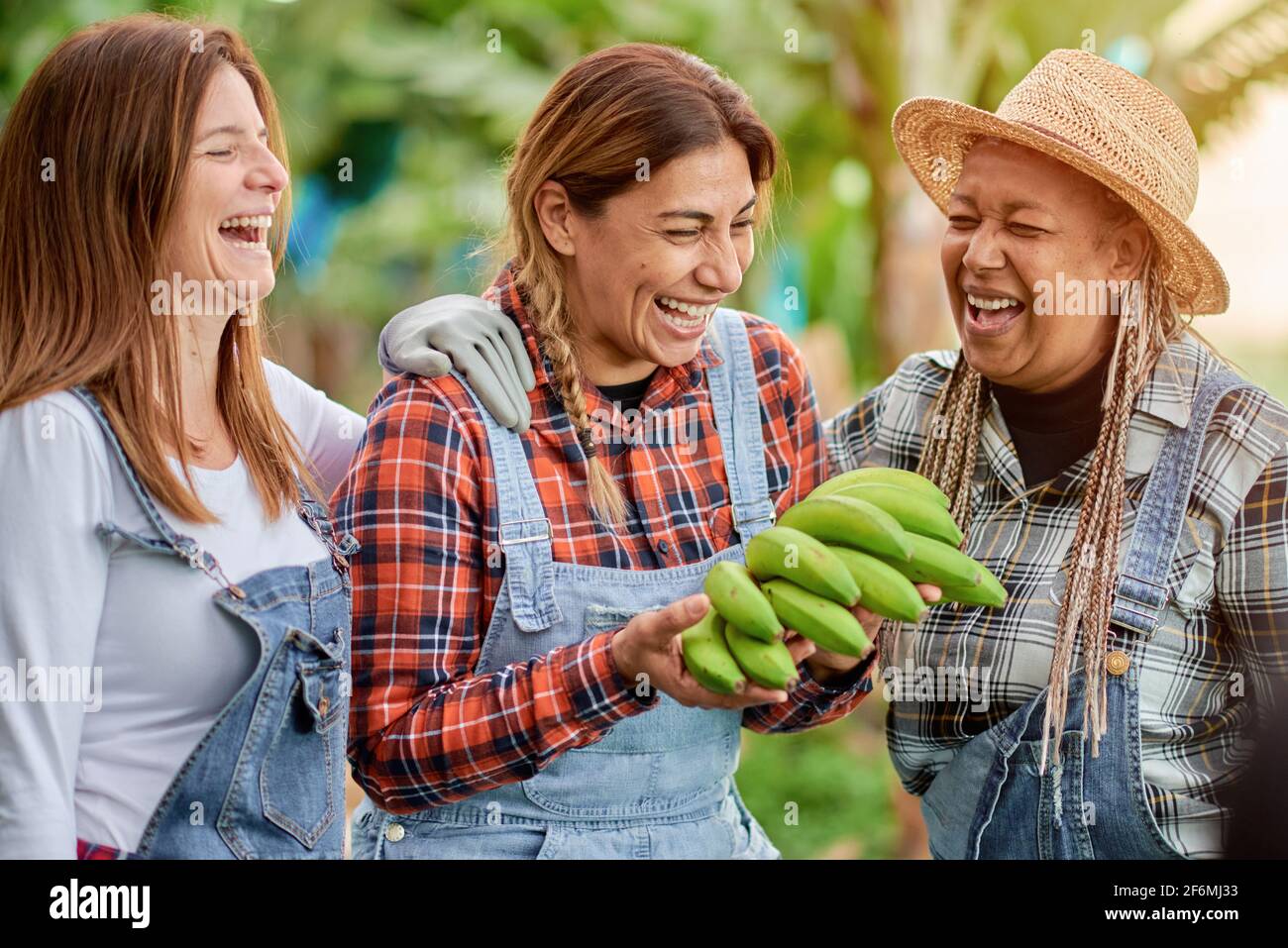 Glückliche multirassische Frauen, die zusammen Spaß haben - Generationenfreunde lächeln Arbeiten auf einer Bananenplantage - Schwerpunkt auf der Gesicht der Latina Stockfoto