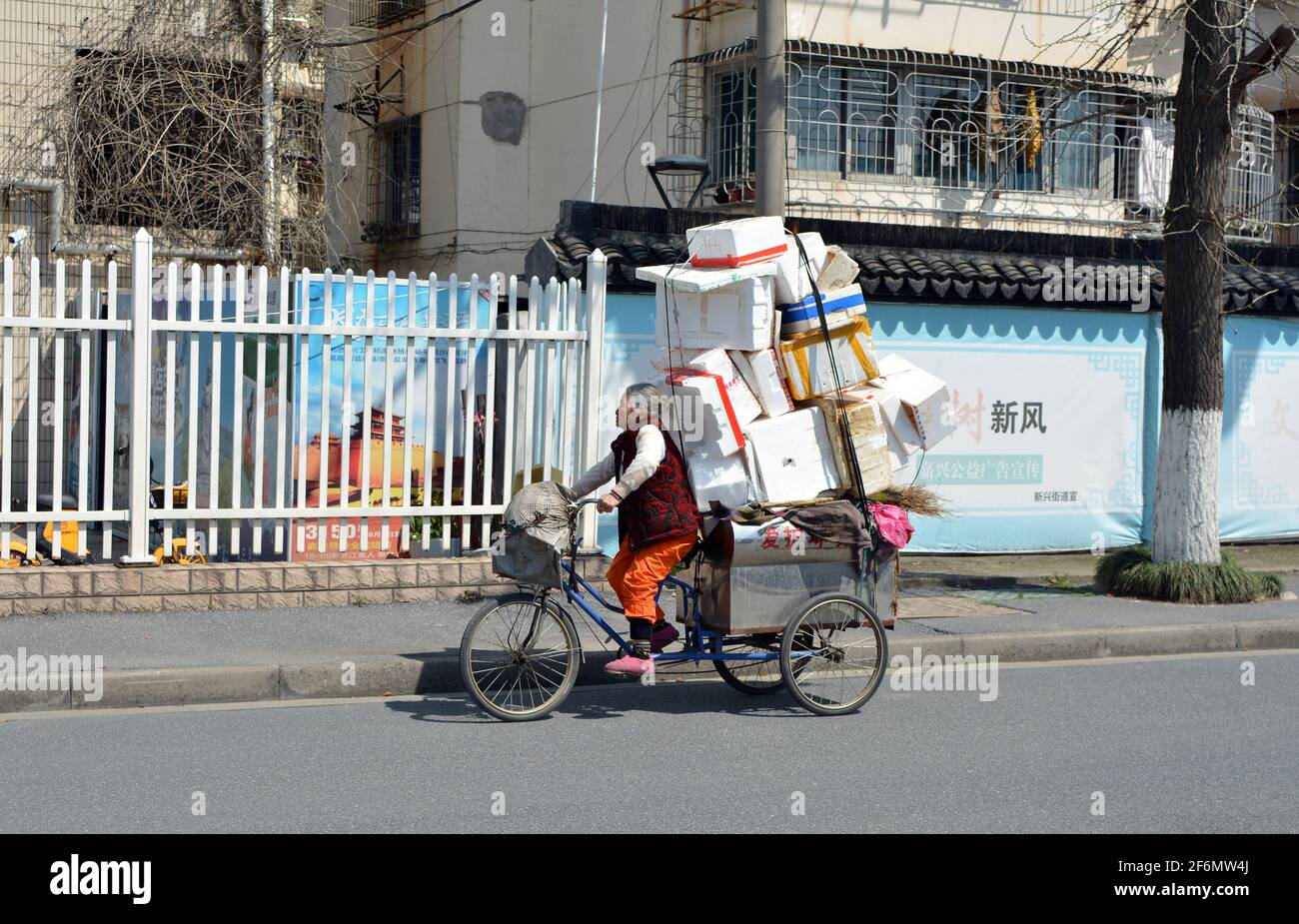 Ältere Dame, die mit ihrem Dreirad auf einer Straße unterwegs ist, die mit Polystyrol zum Recycling überladen ist. Stockfoto