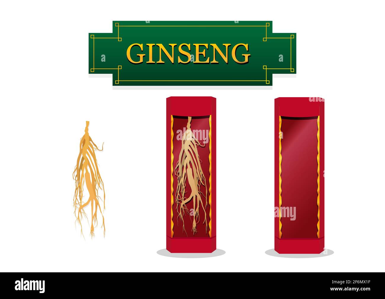 Asiatischer Ginseng in Vitrine Geschenkbox in flacher Vektorgrafik Stock Vektor
