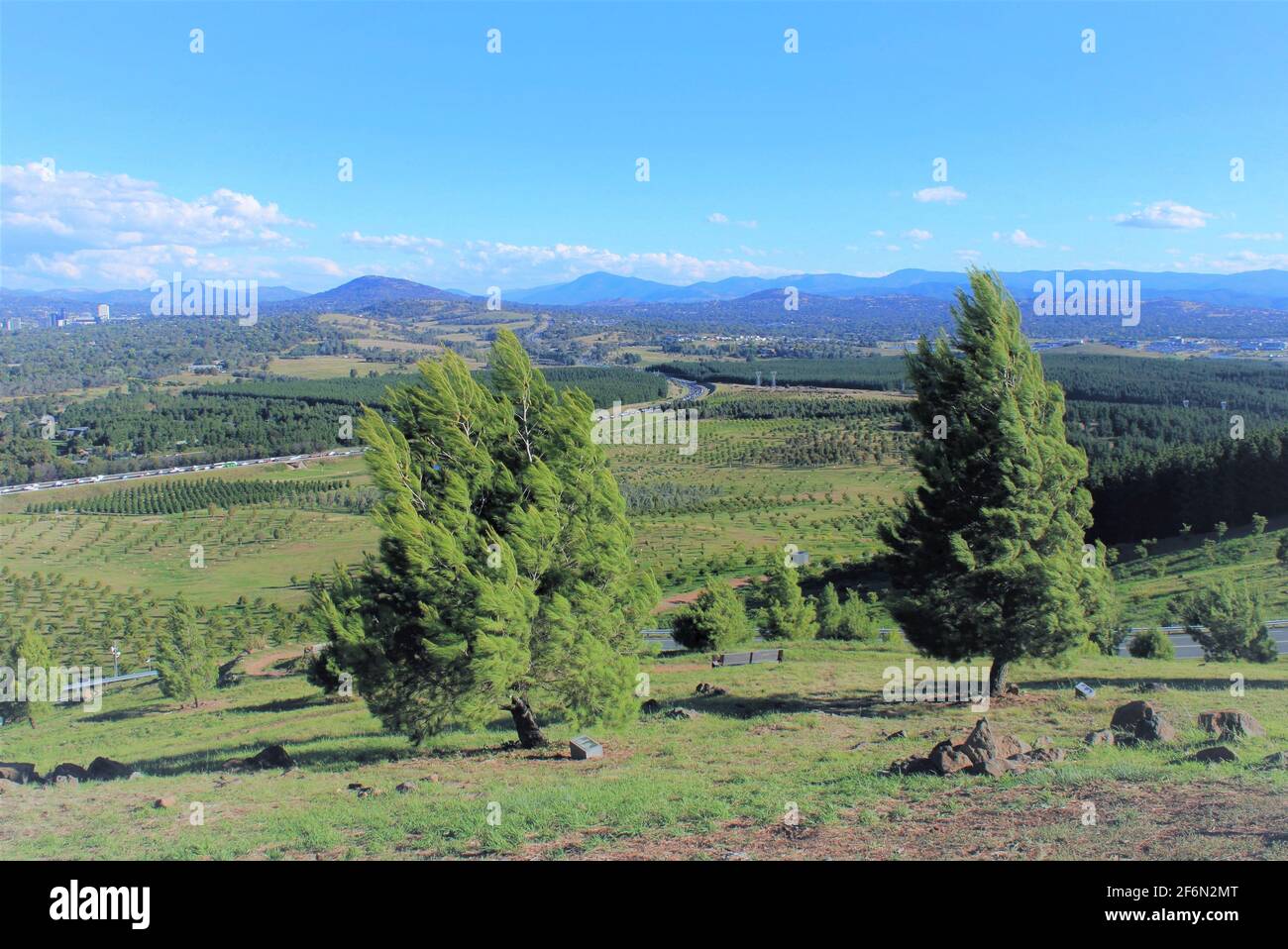 Neugrünung des Stadtprojekts, National Aboretum in Canberra, Australien. Stockfoto