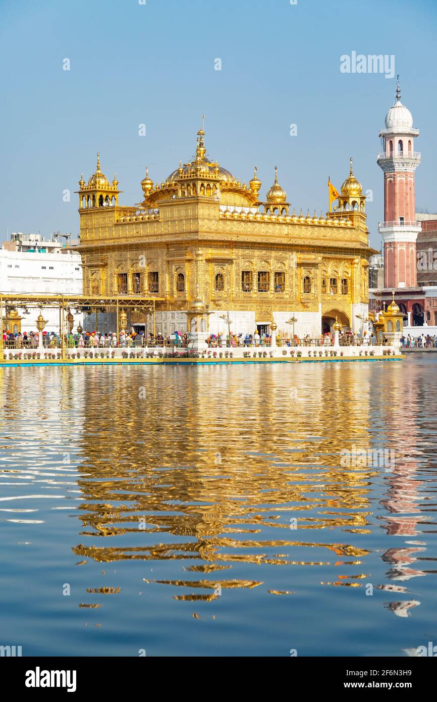 Goldener Tempel in Amritsar, Punjab, Indien. Stockfoto Goldener Tempel in Amritsar, Punjab, Indien. Stockfoto