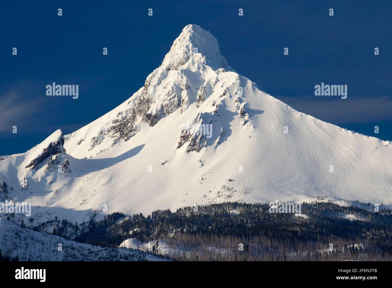 Mount Washington vom Mt. Washington Viewpoint, Deschutes National Forest, Oregon Stockfoto