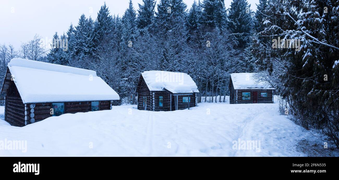 Schneebedeckte Blockhütten im Wald in einem Wald. Stockfoto
