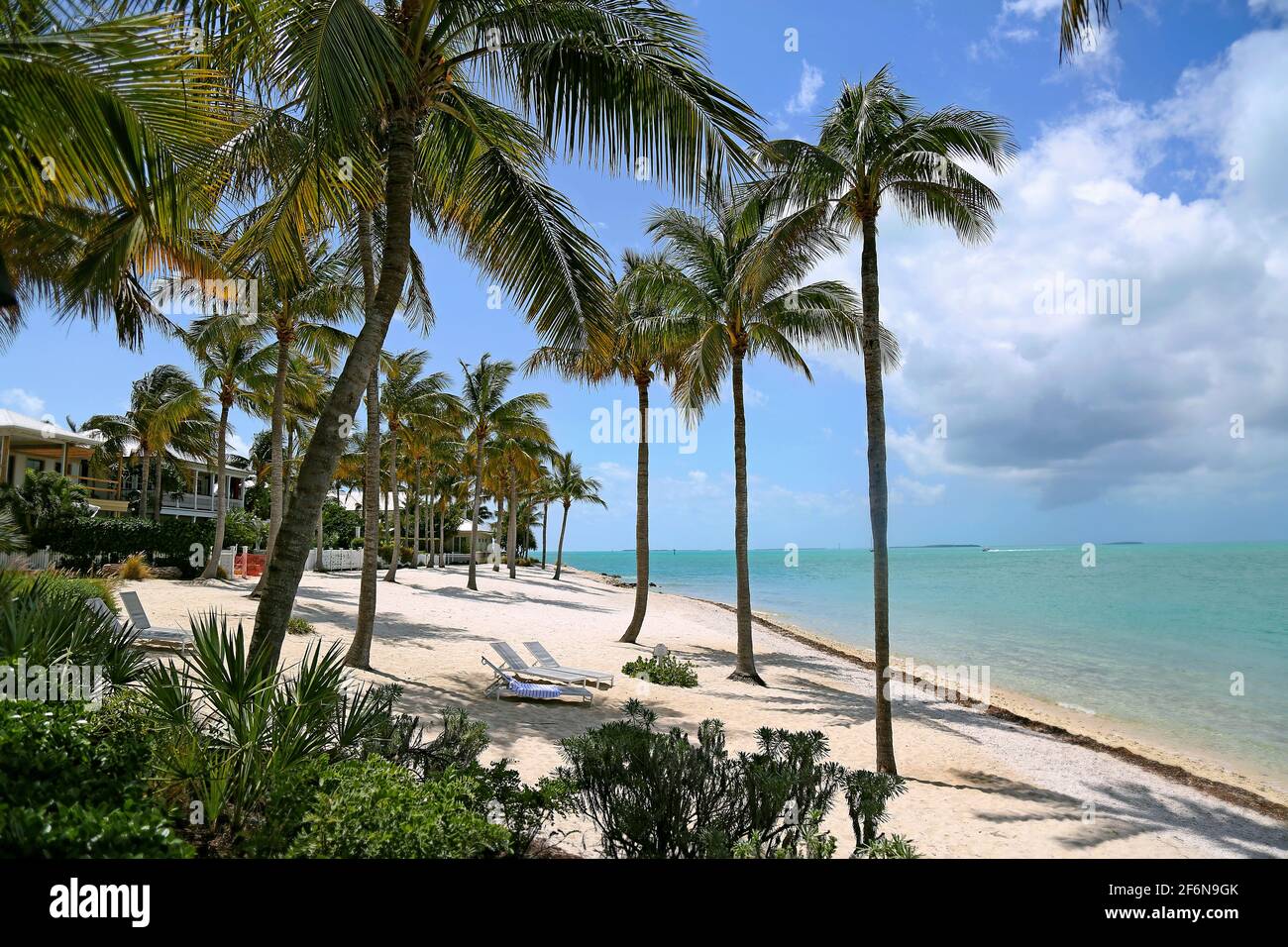 Tropische Palmen schweben auf einem weißen Sandstrand in der Nähe von glitzerndem blauem Wasser im wunderschönen Key West, Florida, dem südlichsten Punkt der USA Stockfoto