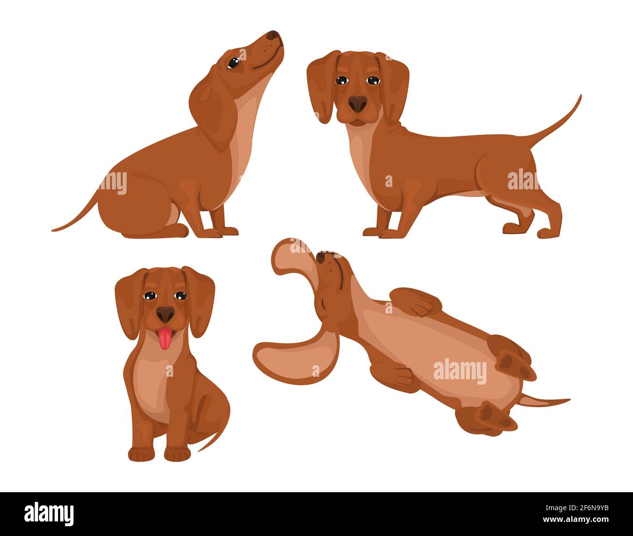 Set Dackel Hund, fröhlicher Freund, Haustier, hinlegen, laufen und Viel Spaß. Vektor in Cartoon Stock Vektor