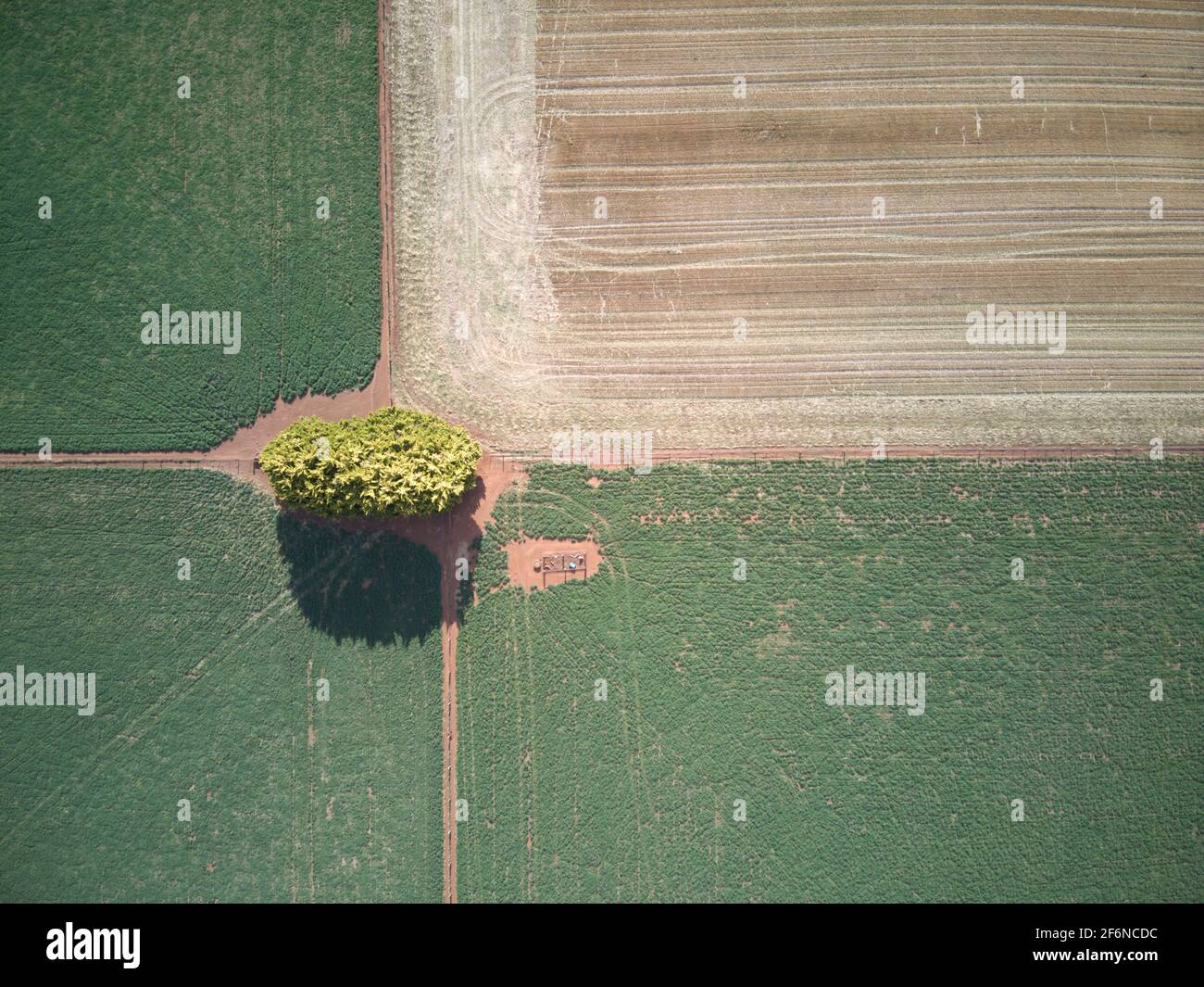 Luftlandwirtschaft Land und Ackerland, Ernte Muster und Spuren mit einem grünen und braunen Hintergrund, Victoria, Australien. Stockfoto