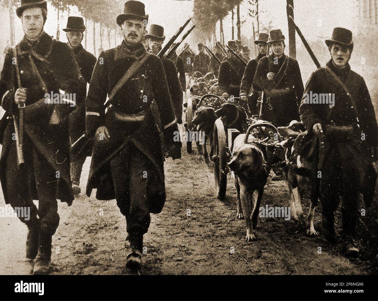 WWI - Hundewagen der belgischen Armee mit Maschinengewehren. Stockfoto