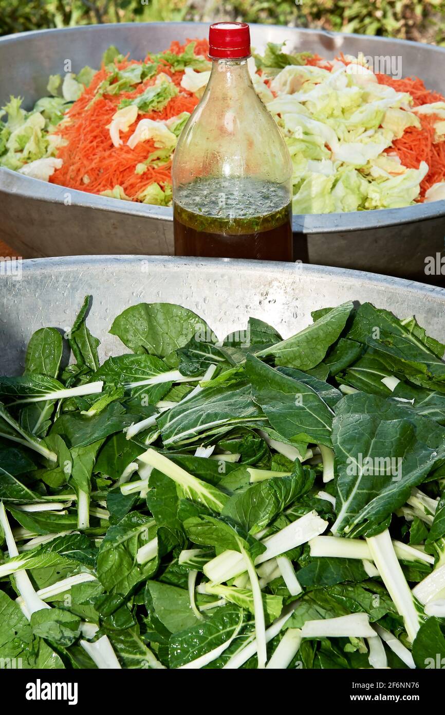 Schneiden Sie napa-Kohlblätter, Karotten und chinakohl in Schüsseln, bereit, als Salat zubereitet zu werden, eine Flasche mit Kräutern und Essig daneben Stockfoto