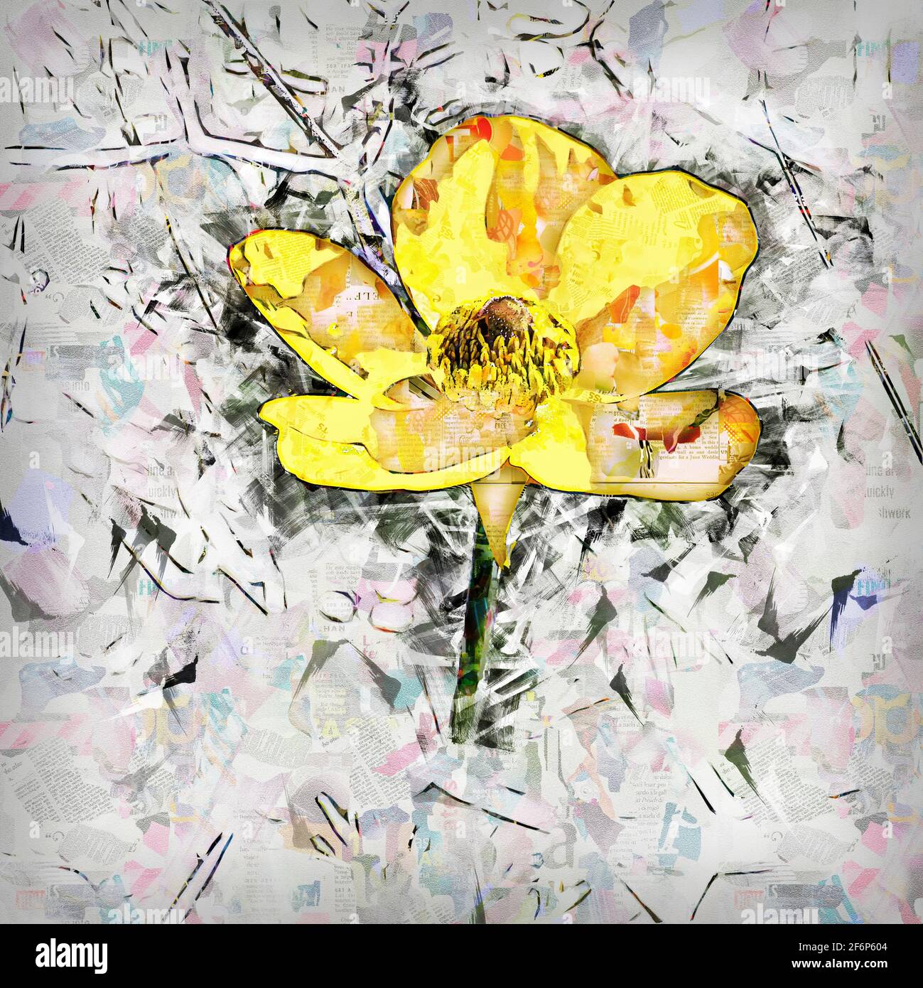 Digital verstärkter Bildausschnitt eines gelben Ranunculus asiaticus, der persische Butterblume, ist eine im östlichen Mediter heimische Art von Butterblume (Ranunculus) Stockfoto