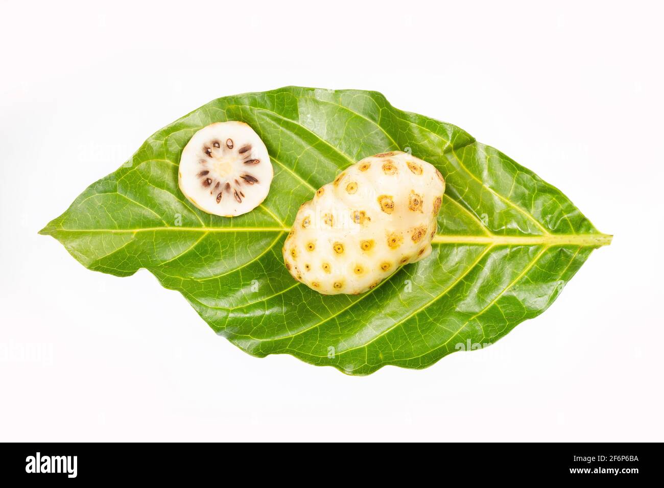 Frucht der Großen Morinda (Noni) oder Morinda citrifolia Stockfoto