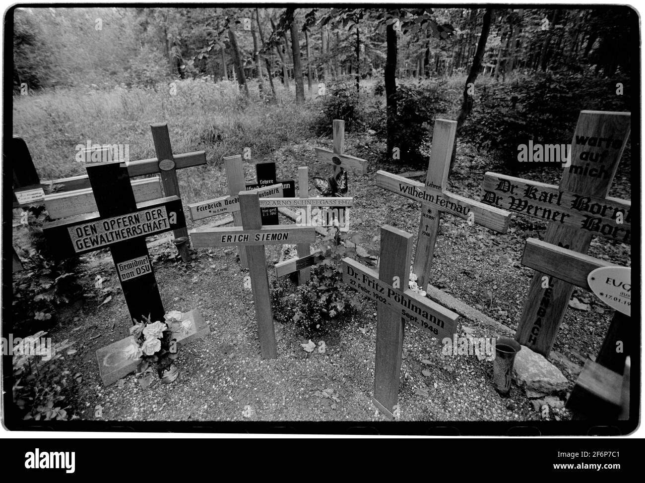 KZ Buchenwald Weimar in Thüringen Deutschland 1994 nach dem Fall der ‘Mauergräber enthüllten Ende 1989 die Überreste ehemaliger Nazis, die im sowjetischen Sonderlager Nr. 2 inhaftiert waren. Zwischen 1990 und 1994 wurden diese Gräber mit Metallstelen markiert und bei ihrem Namen wurde ein Kreuz errichtet. Zwischen dem 1945. Und dem 10. Februar 1950 wurde das Lager von der Sowjetunion verwaltet und diente als Sonderlager Nr. 2 des NKWD.[1] Es war Teil eines seit 1945 laufenden Netzwerks von "Sonderlagern", das 1948 formell in den Gulag integriert wurde Stockfoto