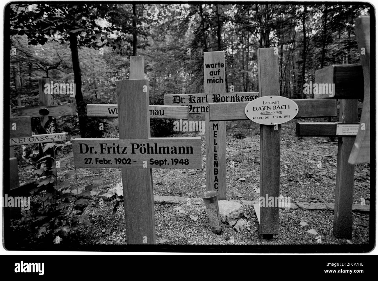 KZ Buchenwald Weimar in Thüringen Deutschland 1994 nach dem Fall der ‘Mauergräber enthüllten Ende 1989 die Überreste ehemaliger Nazis, die im sowjetischen Sonderlager Nr. 2 inhaftiert waren. Zwischen 1990 und 1994 wurden diese Gräber mit Metallstelen markiert und bei ihrem Namen wurde ein Kreuz errichtet. Zwischen dem 1945. Und dem 10. Februar 1950 wurde das Lager von der Sowjetunion verwaltet und diente als Sonderlager Nr. 2 des NKWD.[1] Es war Teil eines seit 1945 laufenden Netzwerks von "Sonderlagern", das 1948 formell in den Gulag integriert wurde Stockfoto