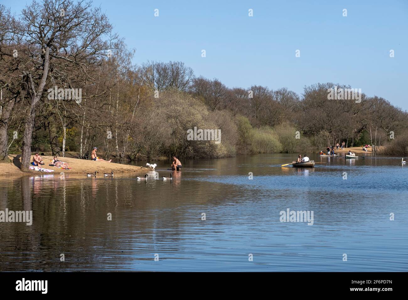 Hollow Pond, London, Vereinigtes Königreich Stockfoto