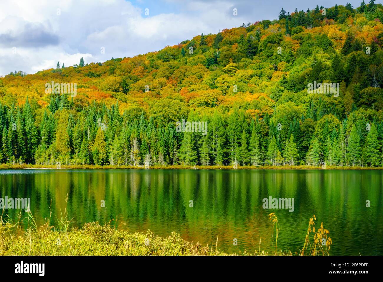 Anzeigen von Lauzon See und falllaub Farben, in Mont Tremblant, Quebec, Kanada Stockfoto