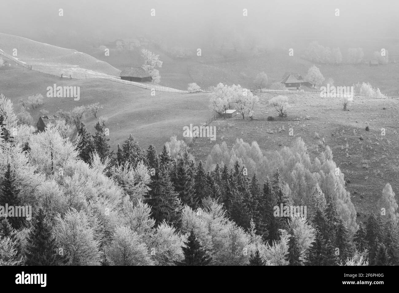 Winterfrostlandschaft des schönen siebenbürgischen Dorfes Bran, mit frischem Schnee, am Fuße der Karpaten Stockfoto
