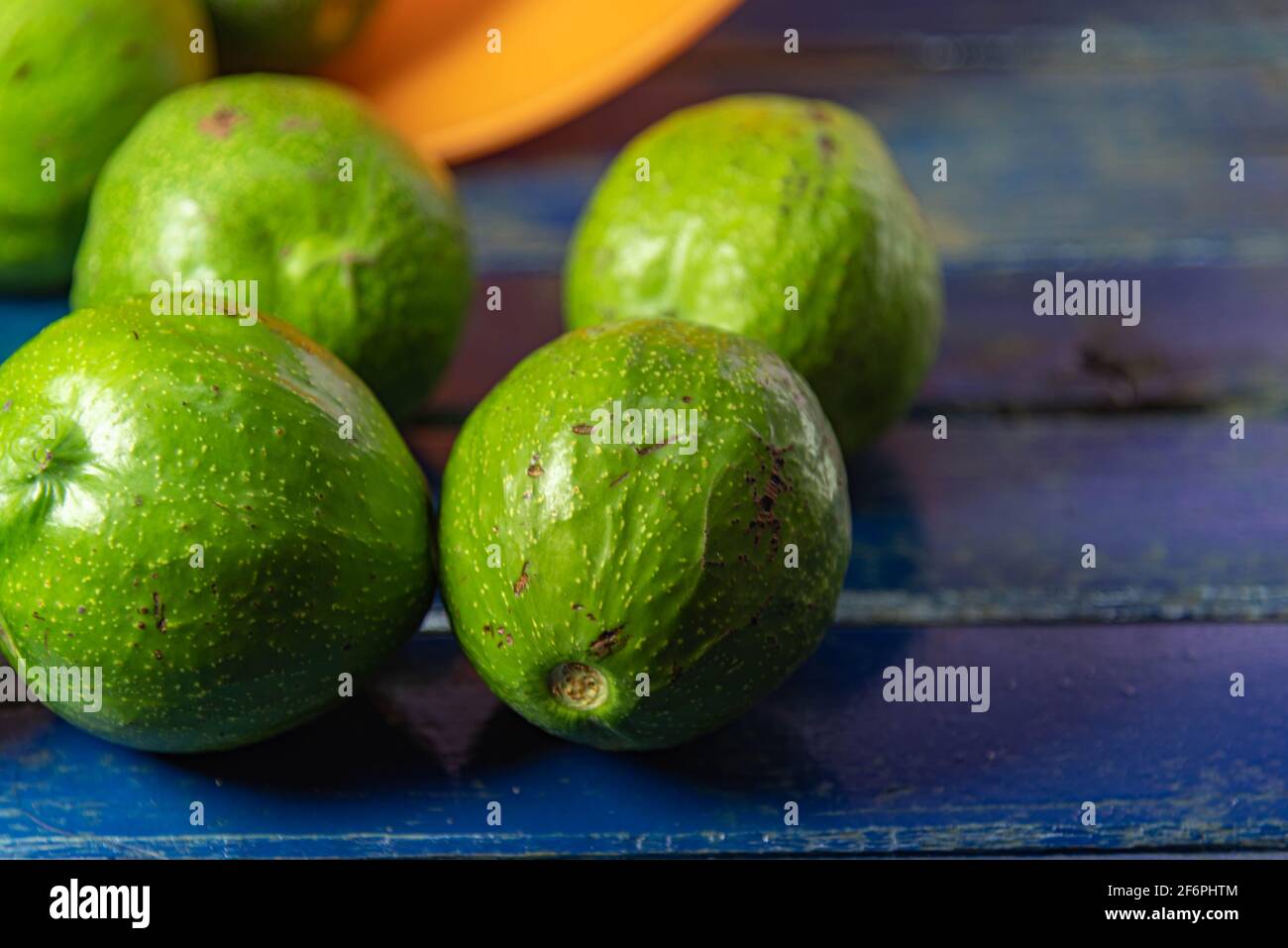 Natürliche Avocado-Früchte (Persea americana) auf blauer Holzoberfläche. Avocado ist eine runde oder pyriforme Frucht mit einem Durchschnittsgewicht von 500 g bis 1500 g. Fib Stockfoto
