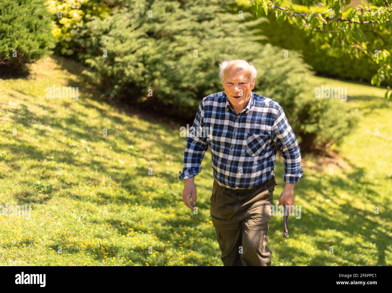Porträt eines älteren Mannes im Garten im Frühling. Stockfoto