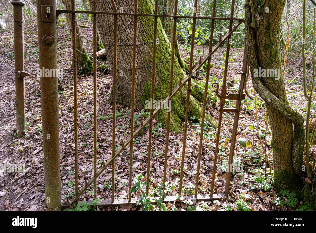 Rostiges Tor mitten im Niemandsland im Wald Stockfoto